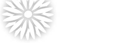 New York Florist Barbara's Flowers